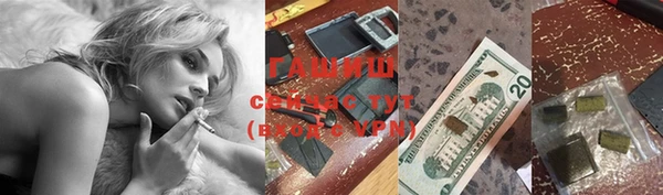 стафф Алексин
