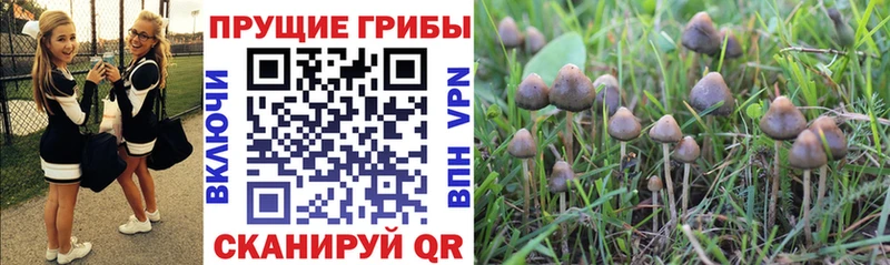 Галлюциногенные грибы Magic Shrooms  Казань 