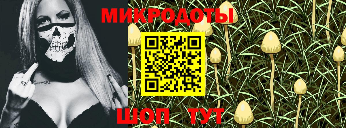Псилоцибиновые грибы Psilocybine cubensis Казань